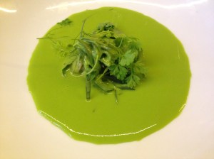 Scallops, spring pea soup, herbs