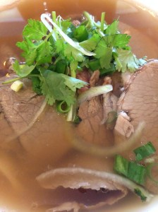 Shredded beef and brisket pho