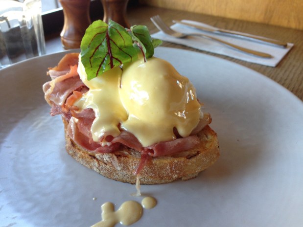 Common Galaxia – Seddon – Monday 25 April 2016 –&nbsp;Lunch