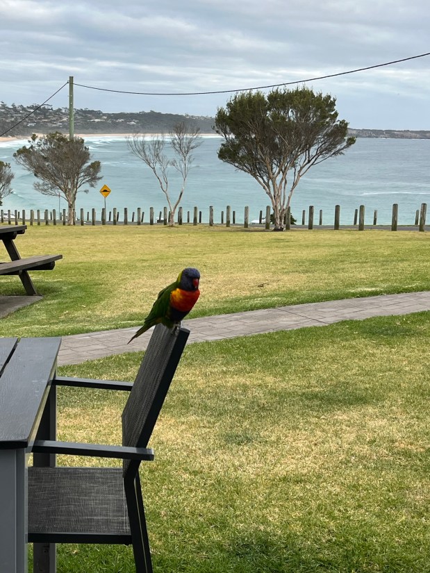 A Week In Merimbula – Sapphire&nbsp;Coast